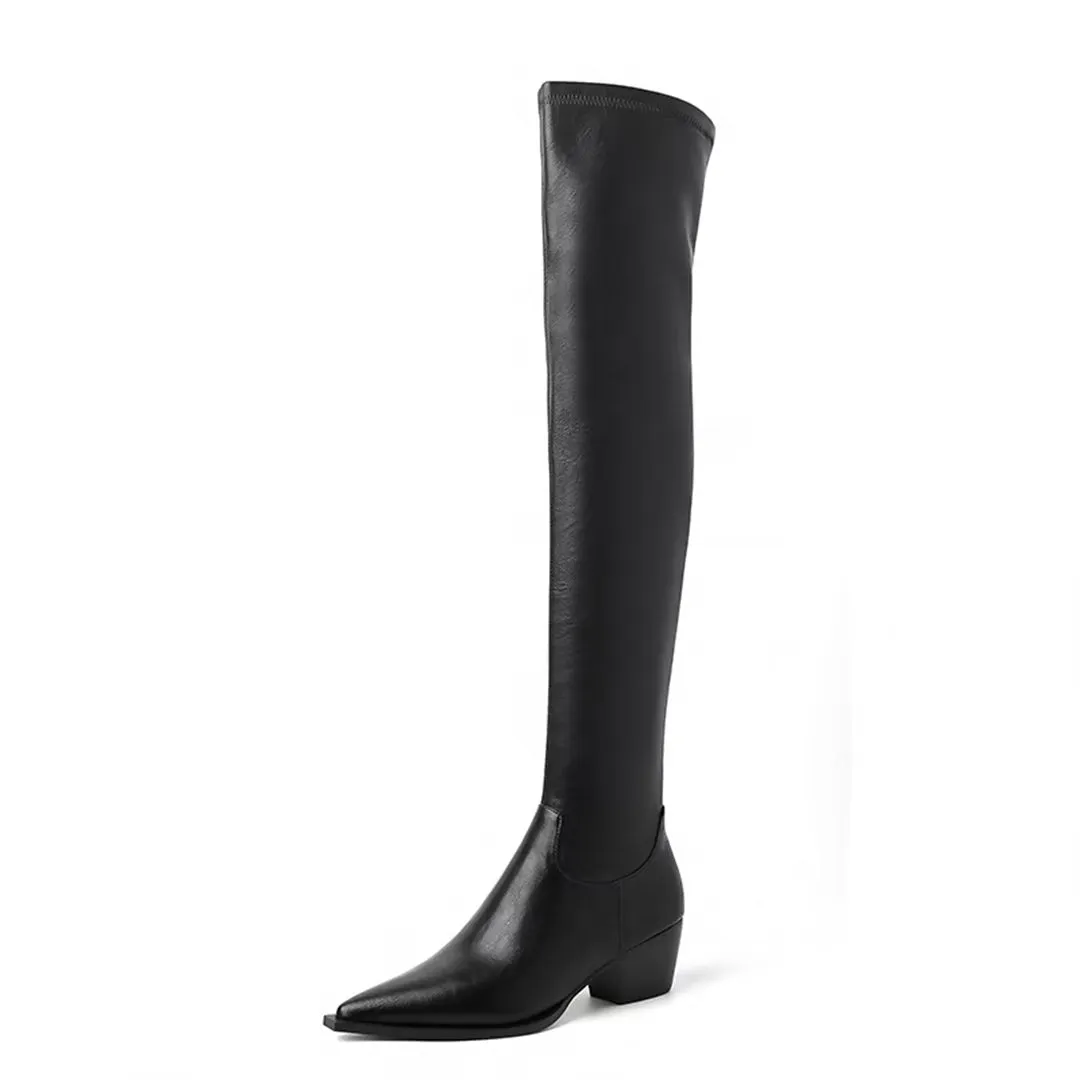 ElegantLeather Over-Knee Pointed Toe Heel Boots