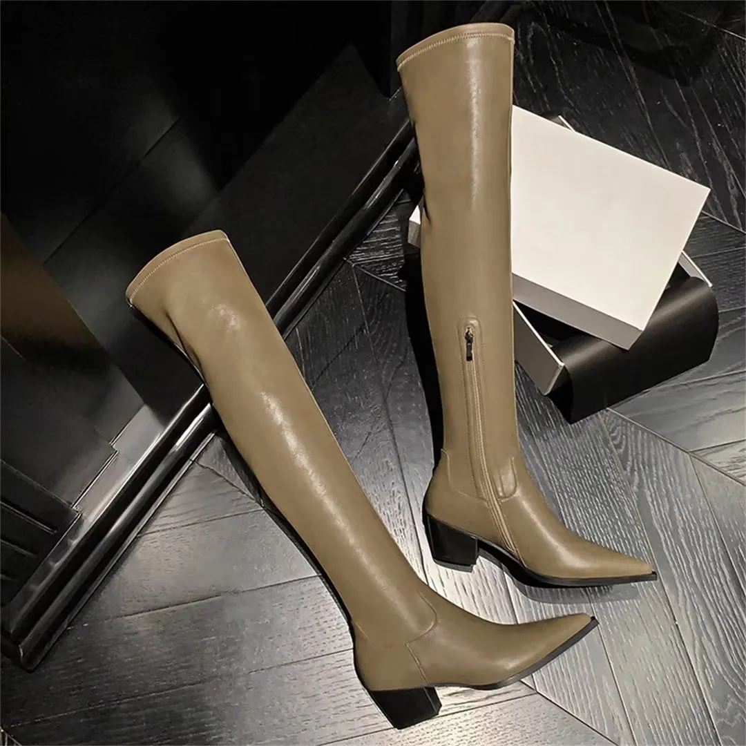 ElegantLeather Over-Knee Pointed Toe Heel Boots