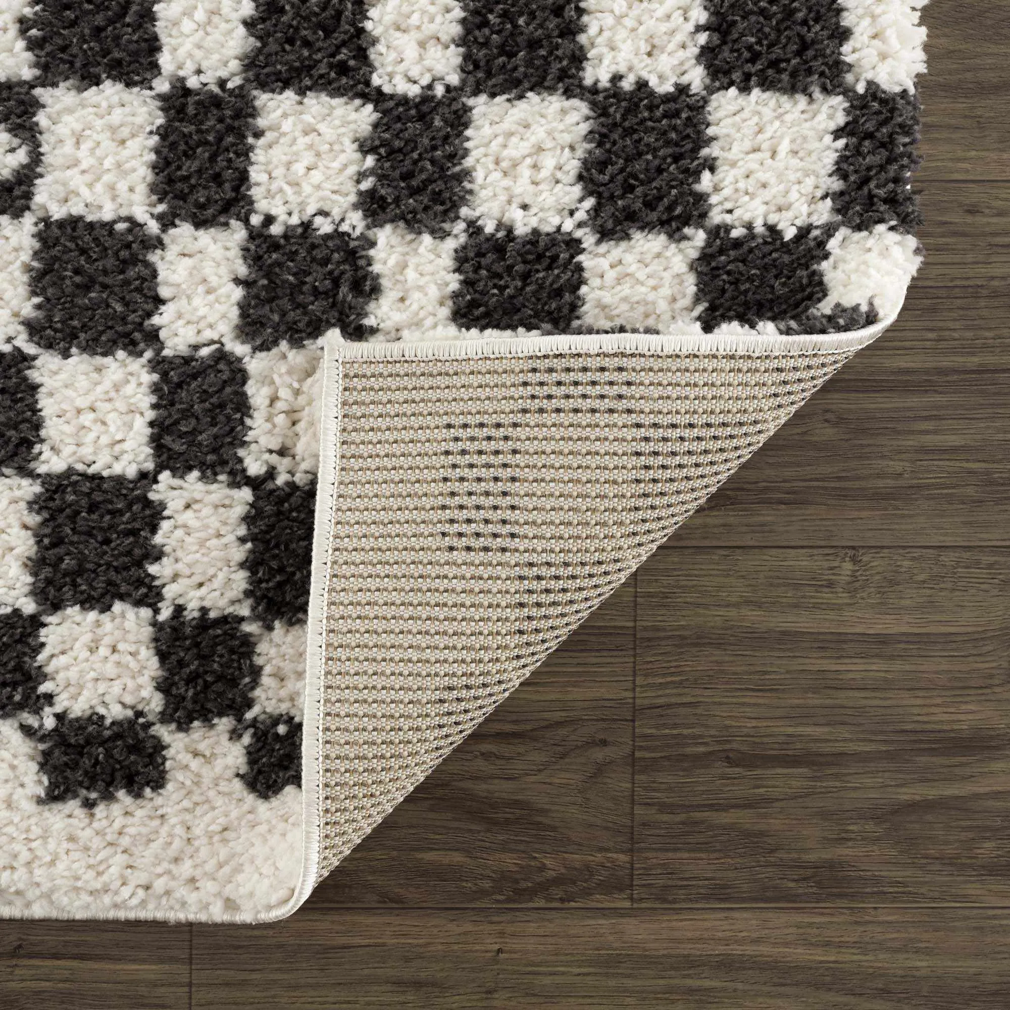 Kieu Black & White Checkered Area Rug