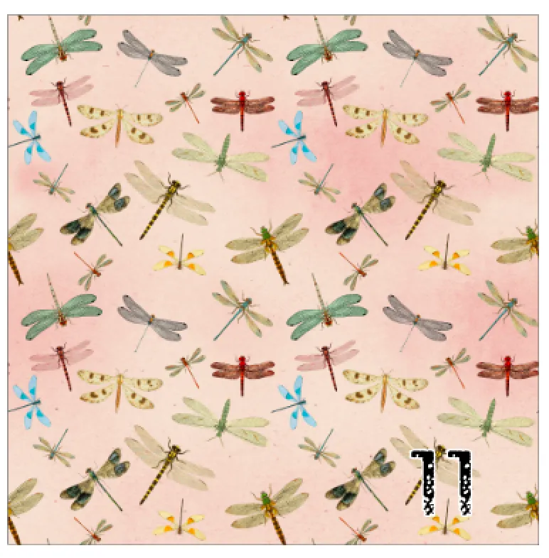 Printed Adhesive Vinyl VINTAGE DRAGONFLIES