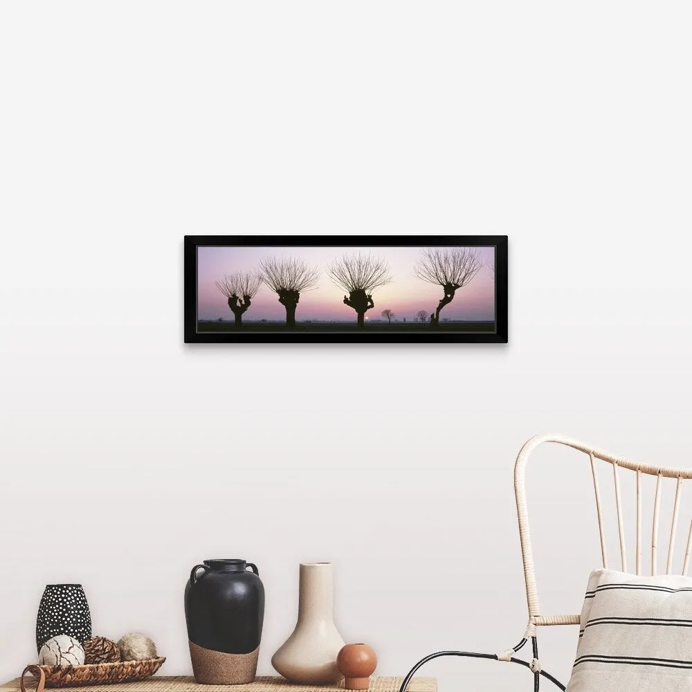 "Barren Willows at Sunset Italy" Black Framed Print