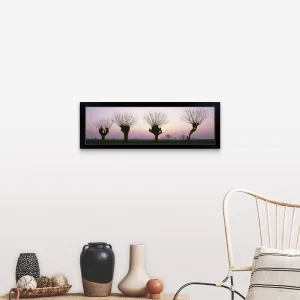 "Barren Willows at Sunset Italy" Black Framed Print